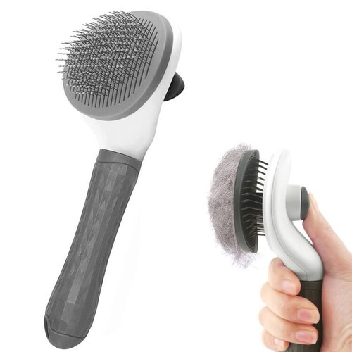 Cat dog brush pet - dog, grooming