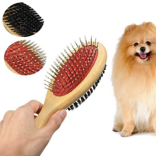 Short long hair dog - 2,