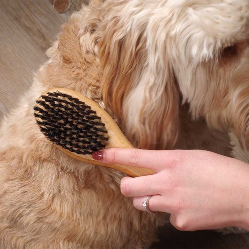 Pet grooming brush double - grooming,
