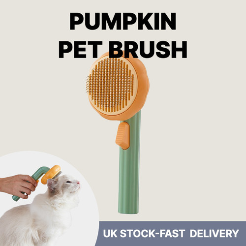 Pumpkin pet brush dog - brush,